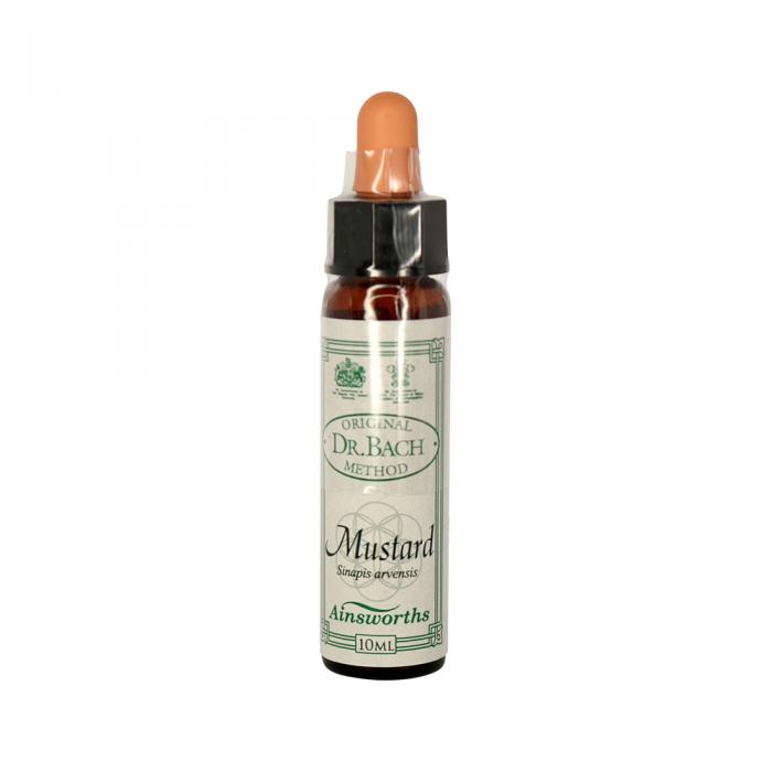 Ainsworths Original Dr. Bach Method Flower Essence Mustard 10ml