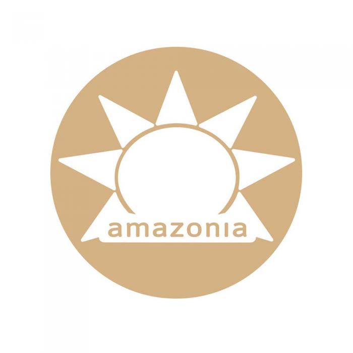Amazonia Raw Protein Organic Paleo Gentle Digest Chocolate 500g