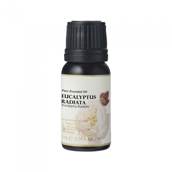 Ausganica Organic Essential Oil Eucalyptus Radiata 10ml