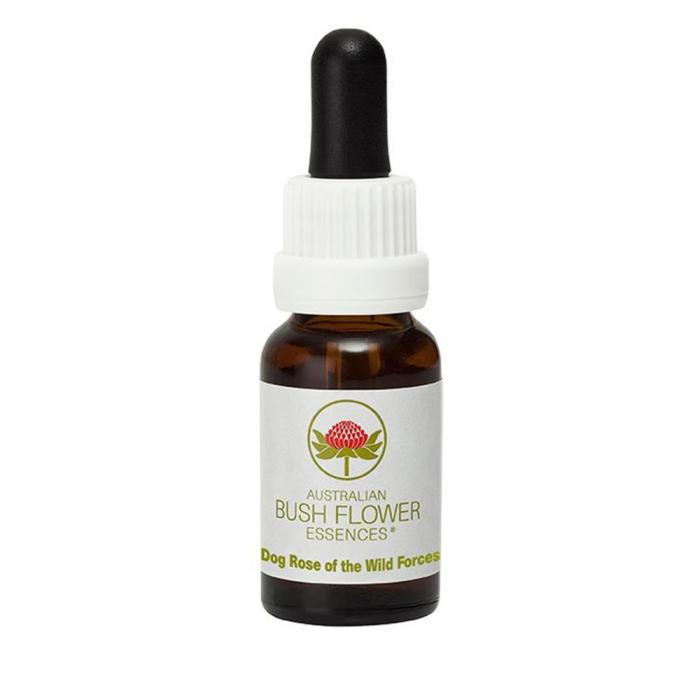 Australian Bush Flower Essences Dog Rose Of Wild Forces 15ml