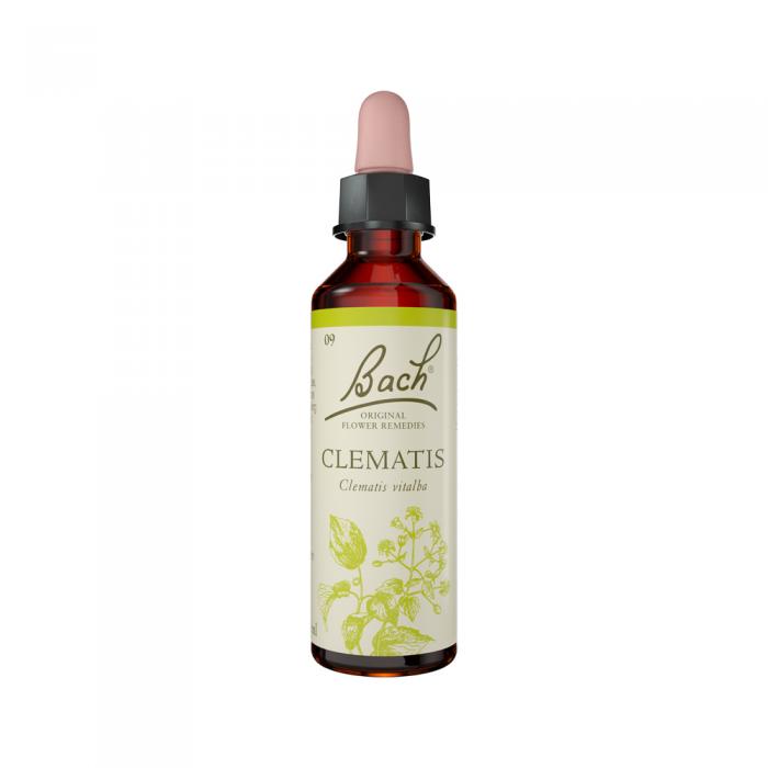 Bach Flower Remedies Clematis 20ml