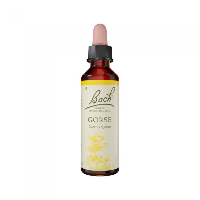 Bach Flower Remedies Gorse 20ml