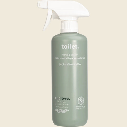 Toilet Cleaner Foaming 500ml