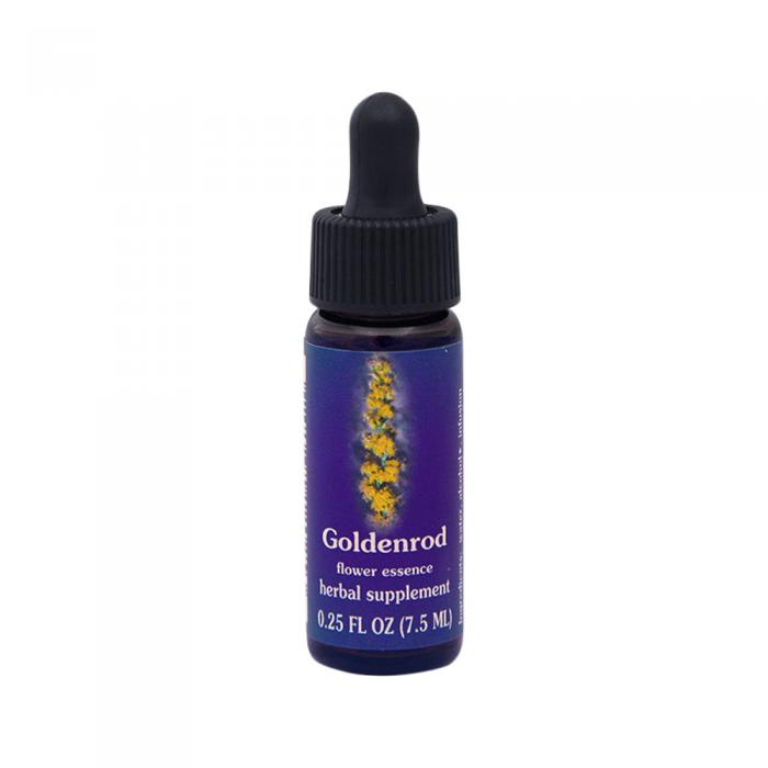 Fes Organic Quintessentials Flower Essence Goldenrod 7.5ml