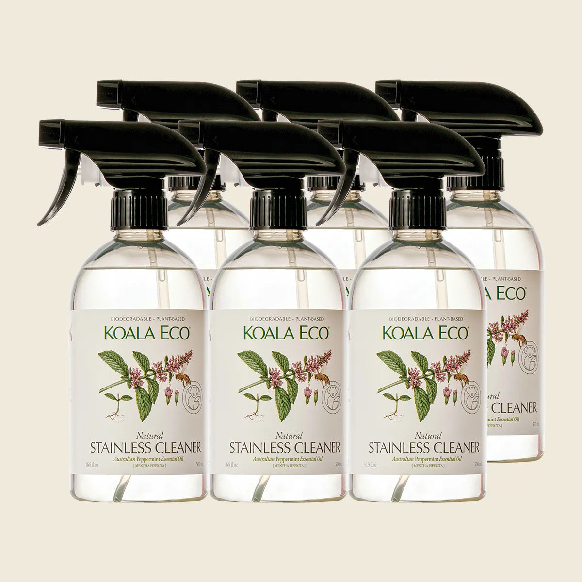 Stainless Steel Cleaner Peppermint 6x500ml