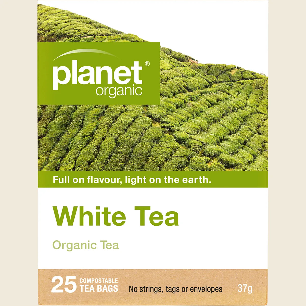 White Tea Herbal Tea Bags 25pk