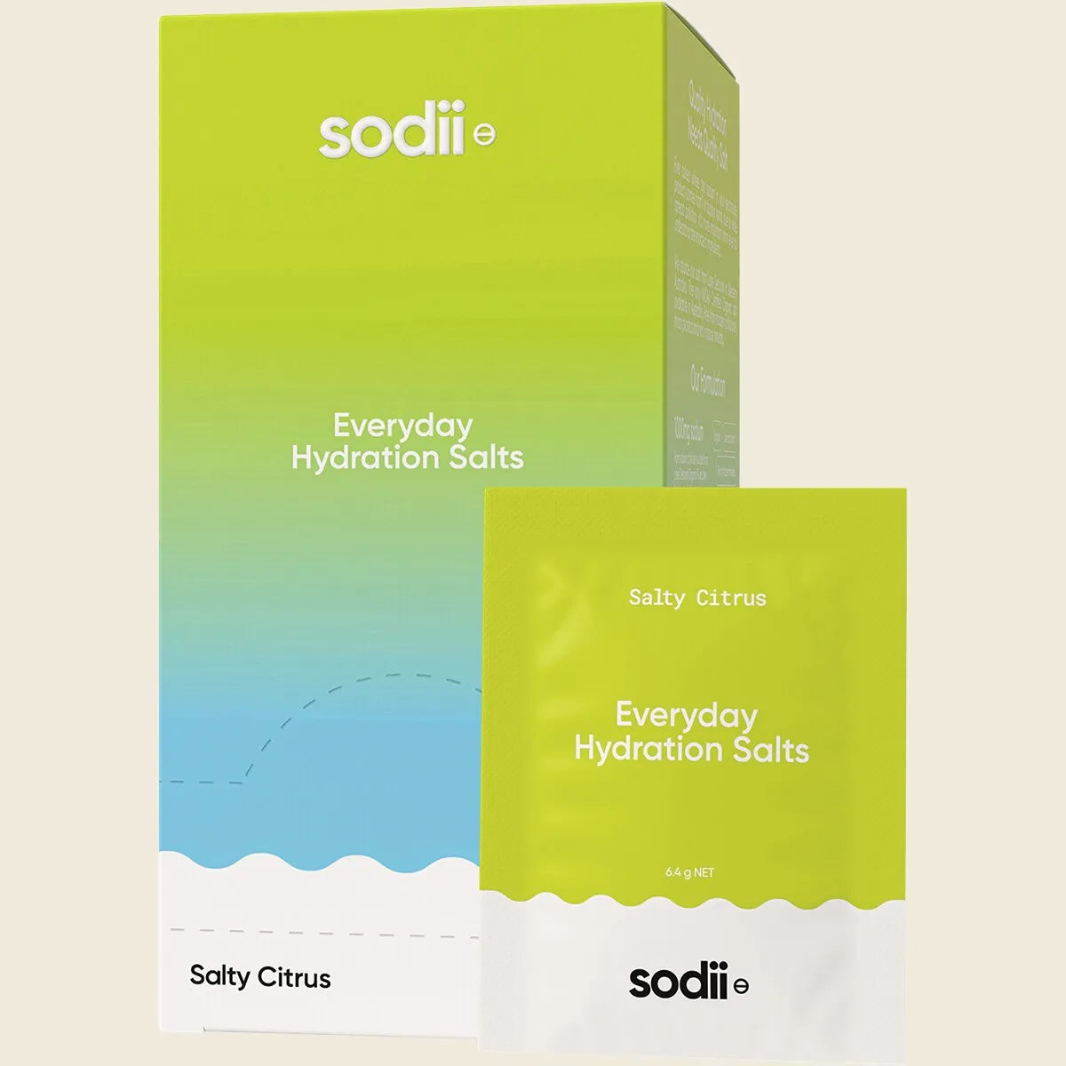 Everyday Hydration Salts Salty Citrus 30pk