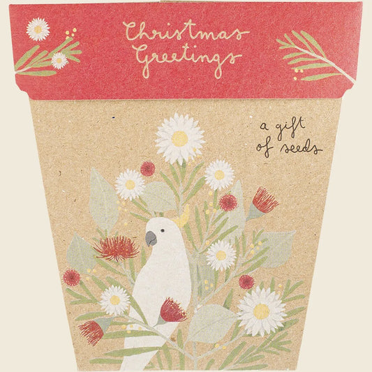Sow 'n Sow Gift of Seeds Christmas Greetings