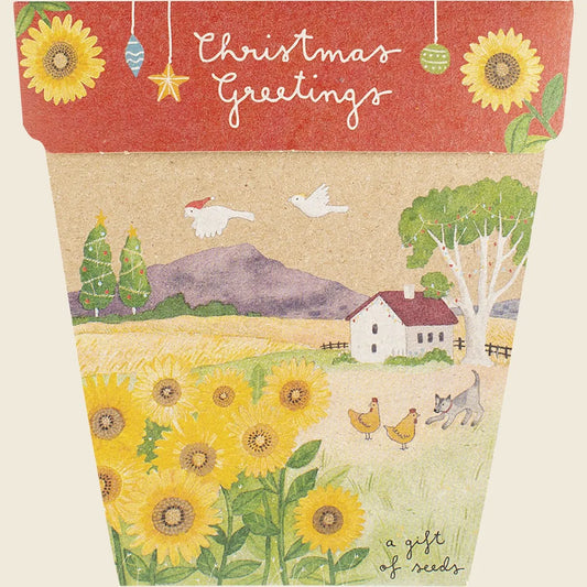 Sow 'n Sow Gift of Seeds Christmas Sunflowers