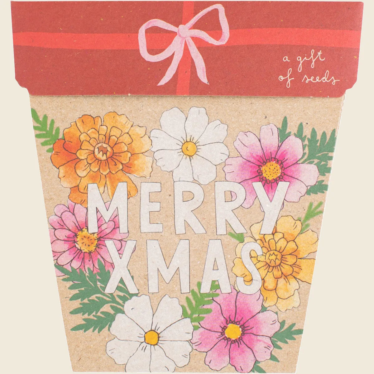 Gift of Seeds Christmas Blooms