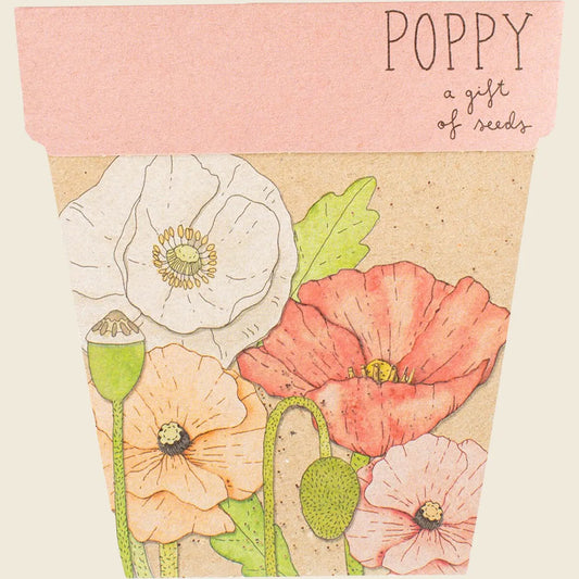 Gift of Seeds Poppy