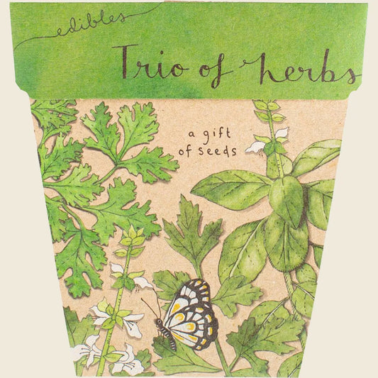 Sow 'n Sow Gift of Seeds Trio of Herbs