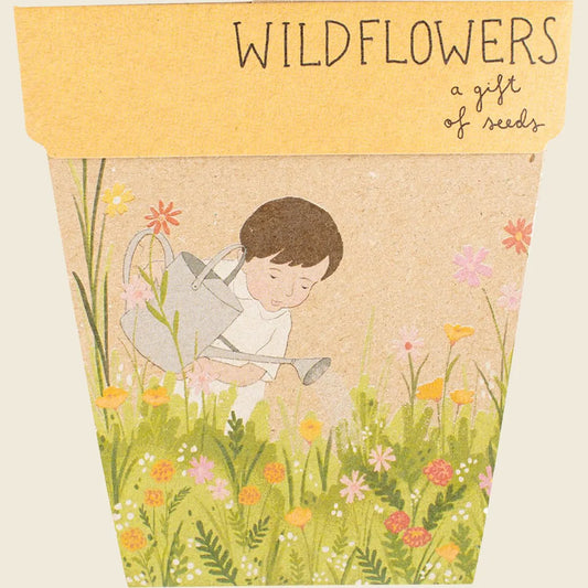 Sow 'n Sow Gift of Seeds Wildflowers