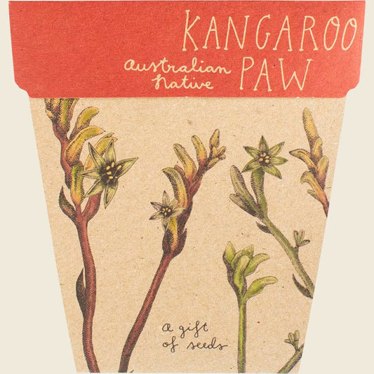 Gift of Seeds Kangaroo Paw