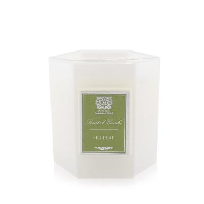 Antica Farmacista Candle - Fig Leaf 255g/9oz