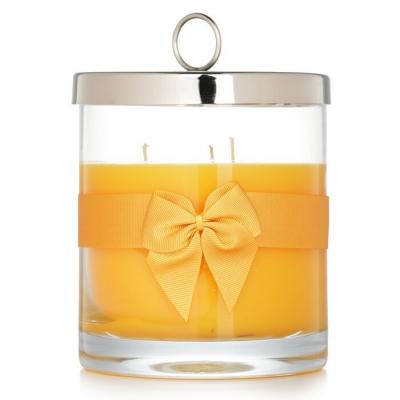 Rigaud Scented Candle - # Tournesol 750g/26.45oz