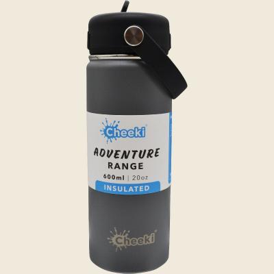 Stainless Steel Bottle Adventure Insulated Slate 600ml