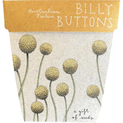 Gift of Seeds Billy Buttons