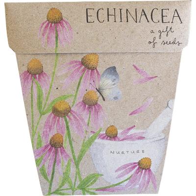 Gift of Seeds Echinacea