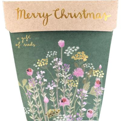 Gift of Seeds Merry Christmas Gift of Seeds Merry Christmas