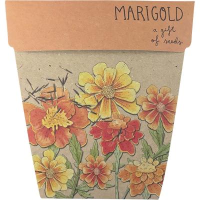 Gift of Seeds Marigolds