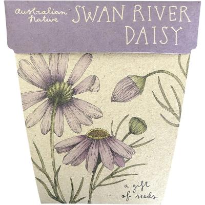 Gift of Seeds Swan River Daisy
