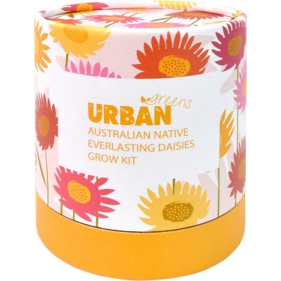 Australian Native Grow Kit Everlasting Daisies