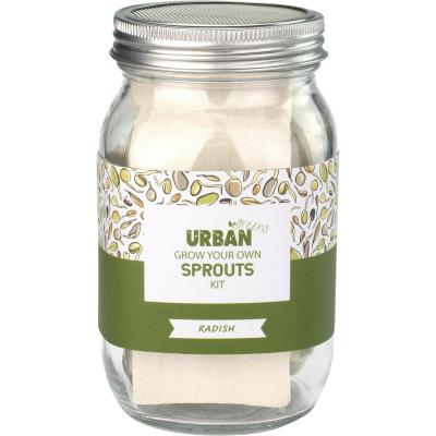 Grow Your Own Sprouts Kit Radish 10x10x17cm