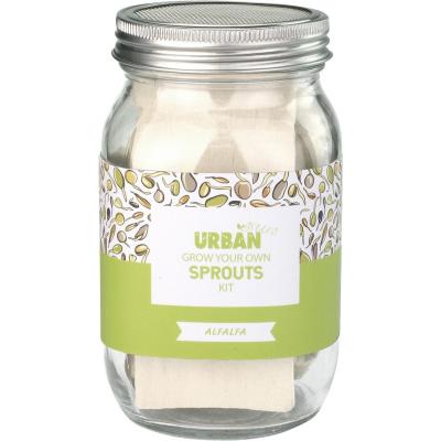 Grow Your Own Sprouts Kit Alfalfa 10x10x17cm